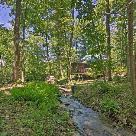 Creekside Cabin With Deck In Pisgah Forest! Barnardsville Exterior foto